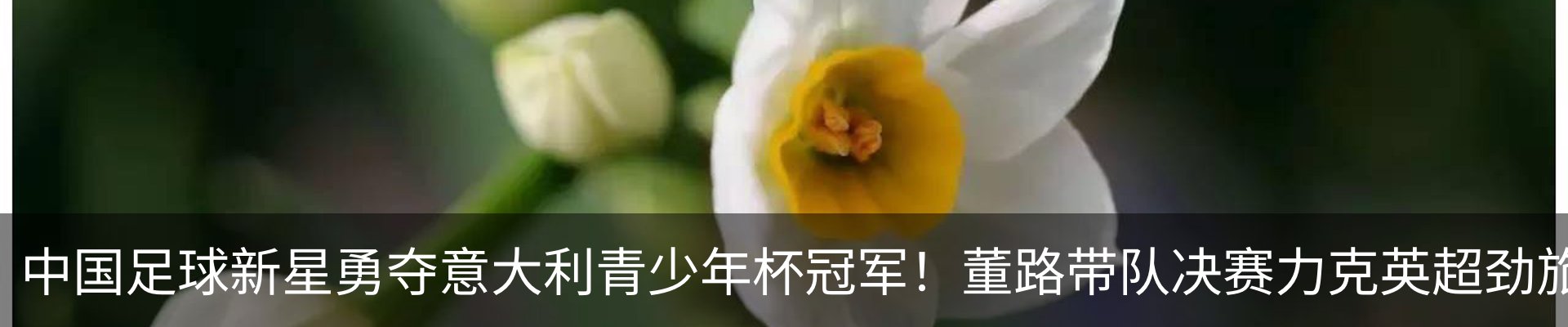 新闻中心